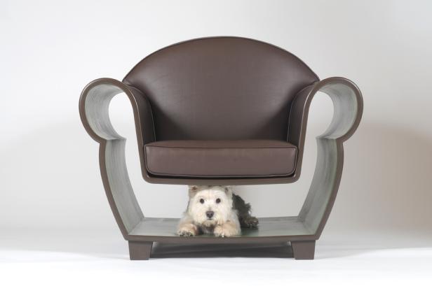 Ein kleiner Hund liegt unter einem braunen Sessel.