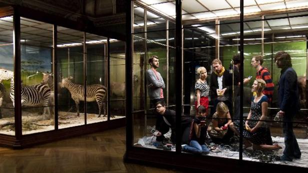 Eine Gruppe von Menschen steht und hockt vor einem Diorama mit Zebras in einem Museum.