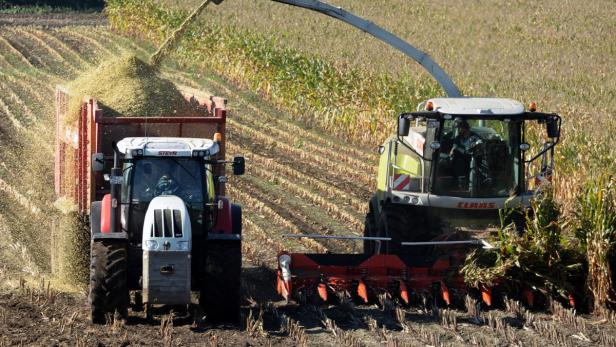 Köstinger: Doppeltes Spiel bei der EU-Agrarreform?