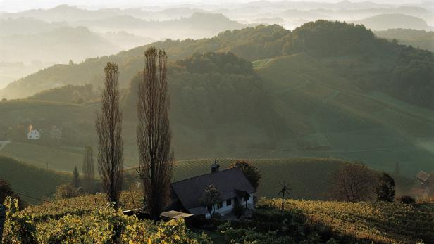 Ein Haus inmitten von Weinbergen in einer hügeligen Landschaft.