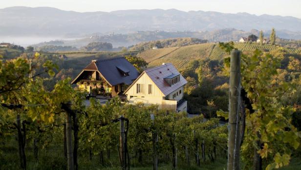 Weinberge mit zwei Häusern vor einer hügeligen Landschaft.
