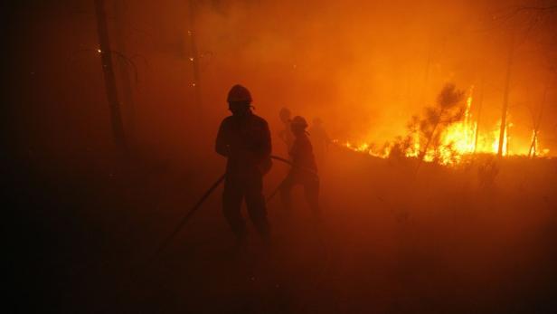 Feuerwehrleute bekämpfen einen Waldbrand mit Schläuchen.