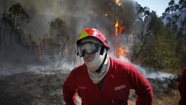 Ein Feuerwehrmann steht vor einem Waldbrand.