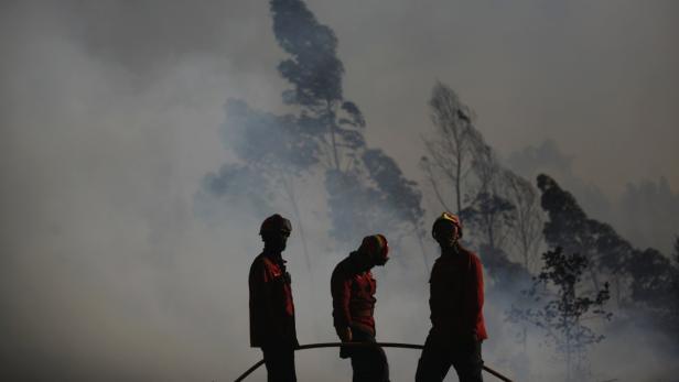 Drei Feuerwehrleute stehen vor einem Waldbrand im dichten Rauch.
