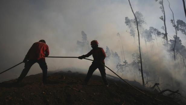 Zwei Feuerwehrleute bekämpfen einen Waldbrand mit einem Schlauch.