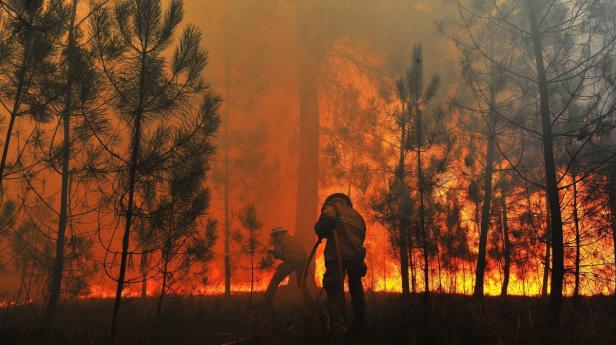 Zwei Feuerwehrleute bekämpfen einen Waldbrand mit Wasserschläuchen.