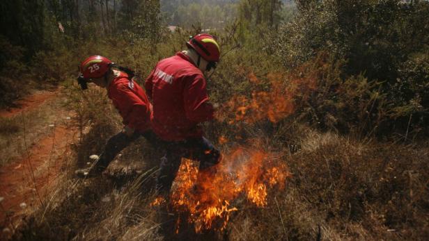 Zwei Feuerwehrleute bekämpfen einen Brand in einem Waldgebiet.