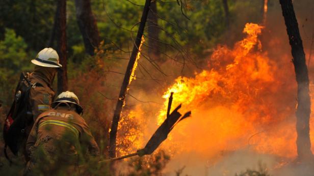 Zwei Feuerwehrleute bekämpfen einen Waldbrand.