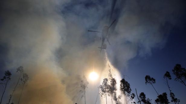 Ein Hubschrauber wirft Wasser über Bäume, um einen Waldbrand zu bekämpfen.