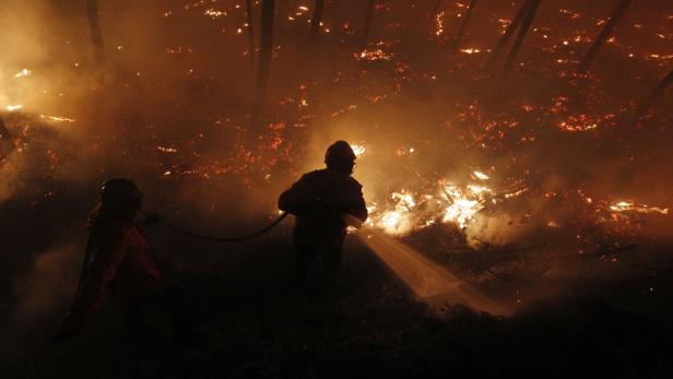 Zwei Feuerwehrleute bekämpfen einen Waldbrand mit einem Wasserstrahl.