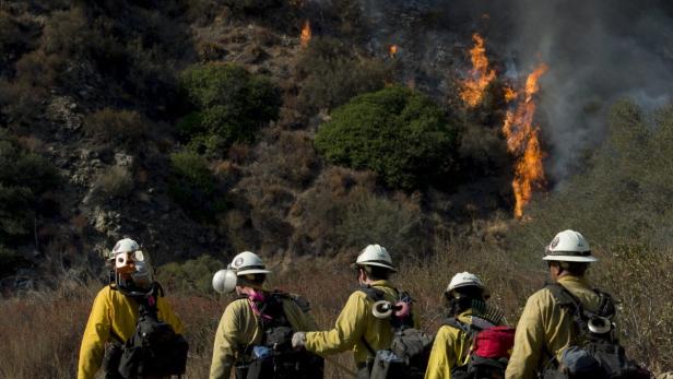 Eine Gruppe Feuerwehrleute bekämpft einen Waldbrand.