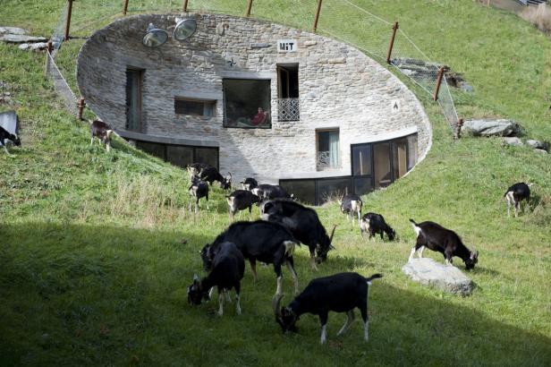 Eine Ziegenherde grast vor einem in einen Hügel gebauten Haus.