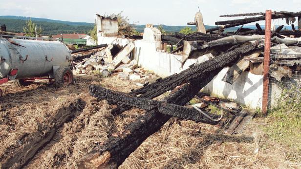 Feuer vernichtete Schafmilchbetrieb in Droß