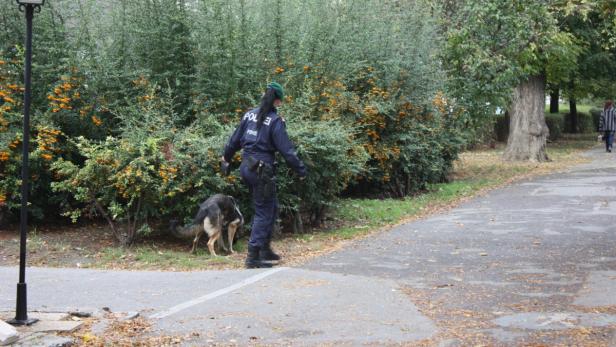 Eine Polizistin geht mit einem Schäferhund in einem Park spazieren.