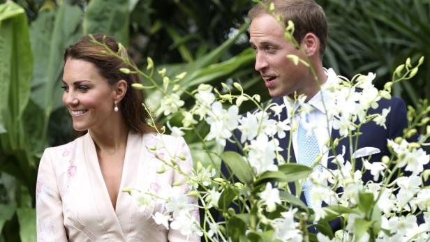 Prinz William will zwei Kinder