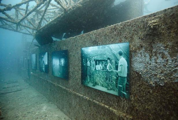 Unterwasser-Kunstausstellung mit Fotografien an einer bewachsenen Wand.