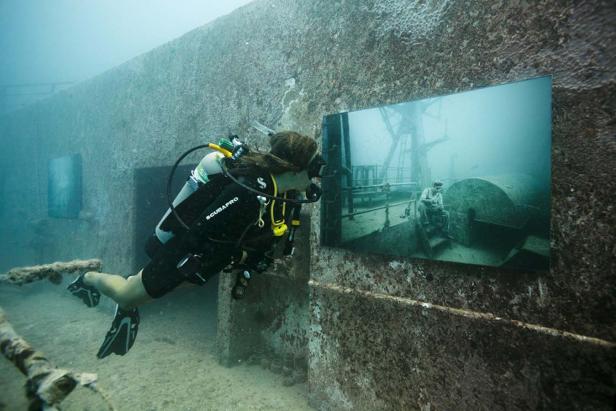 Eine Taucherin betrachtet ein gerahmtes Bild an der Wand eines Unterwasserwracks.