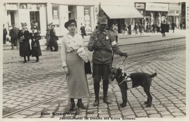 Eine Frau, ein Soldat und ein Sanitätshund während der Rotkreuz-Woche.
