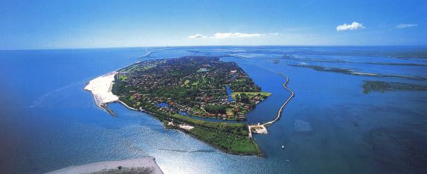 Luftaufnahme einer grünen Insel mit Häusern, umgeben von blauem Wasser.