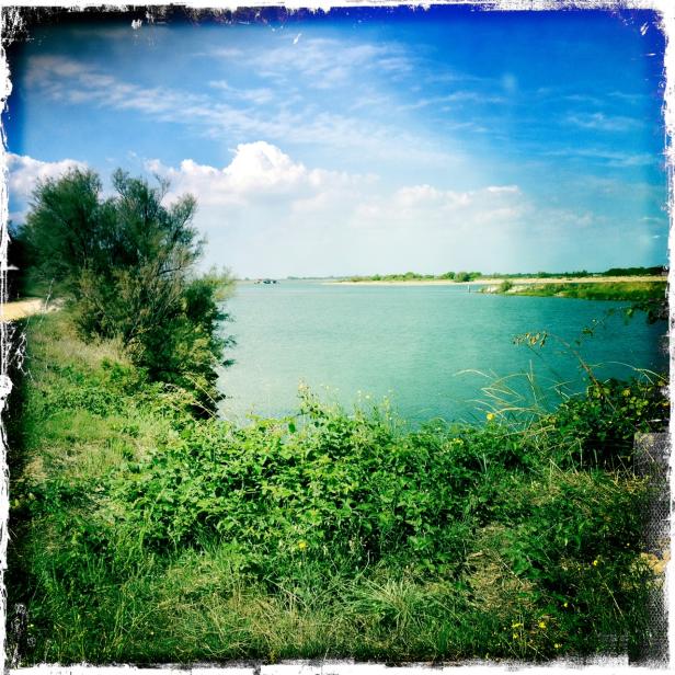 Grüne Vegetation am Ufer eines ruhigen Gewässers unter blauem Himmel.