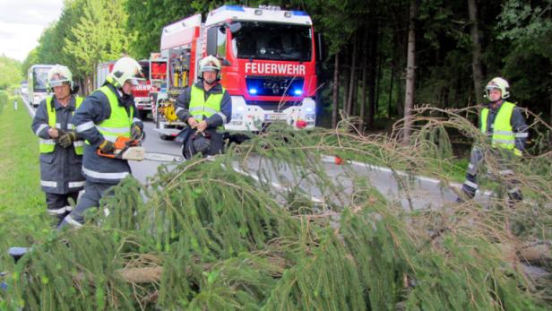 Feuerwehrleute beseitigen einen umgestürzten Baum von einer Straße.