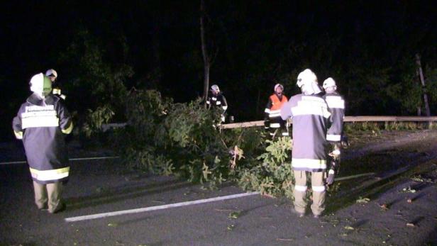 Feuerwehrleute beseitigen einen umgestürzten Baum von einer dunklen Straße.