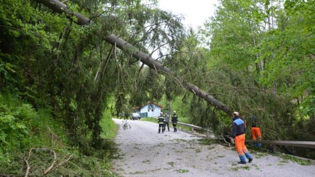 Ein umgestürzter Baum blockiert eine Straße, während Feuerwehrleute die Situation begutachten.