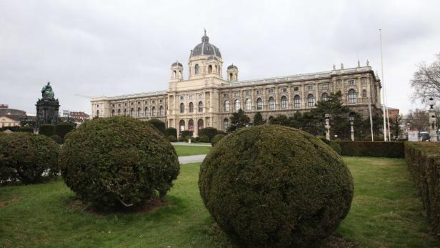 Das Kunsthistorische Museum in Wien, gesehen durch die Büsche im Burggarten.