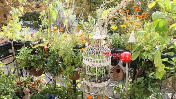 Ein üppiger Balkongarten mit Blumen, Pflanzen und dekorativen Elementen wie einem Vogelkäfig.