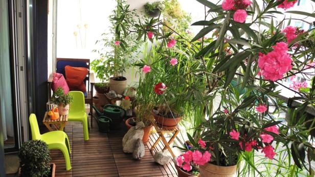 Ein mit Pflanzen und Blumen geschmückter Balkon mit zwei grünen Stühlen.