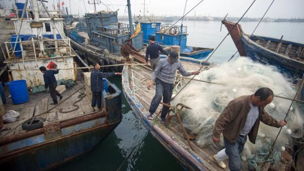Mehrere Fischer arbeiten an Bord von Fischerbooten im Hafen.