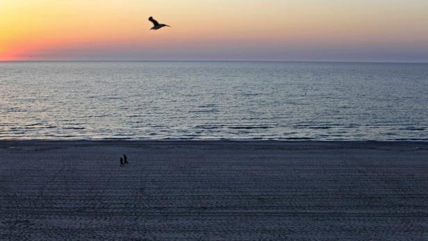 Ein Vogel fliegt über den Strand, während zwei Personen am Ufer entlanggehen.