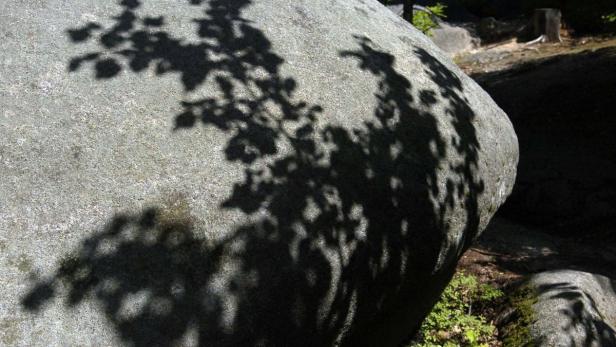 Der Schatten eines Baumes fällt auf einen großen Stein.