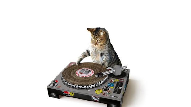 Eine getigerte Katze „legt“ auf einem Spielzeug-Plattenspieler auf.
