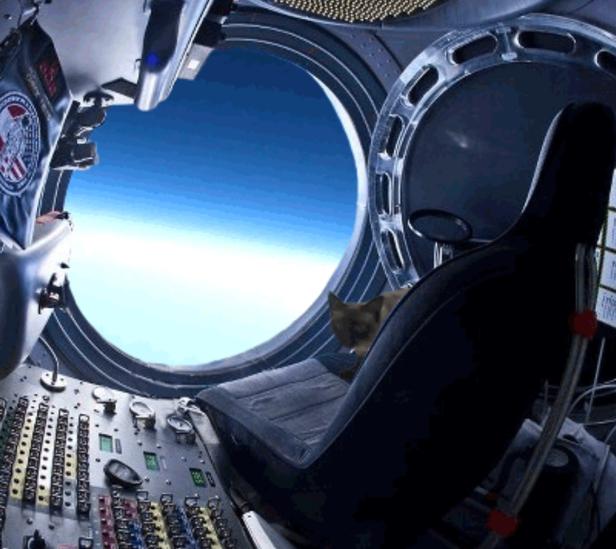 Eine Katze sitzt in einem Raumschiff und blickt aus dem Fenster auf die Erde.