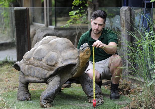 Inventur im Londoner Zoo