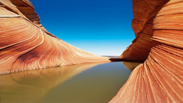 Das wellenförmige Gestein von „The Wave“ spiegelt sich in einem kleinen Wasserbecken.