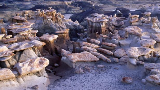 Eine Landschaft mit bizarren Felsformationen und pilzartigen Steinen.