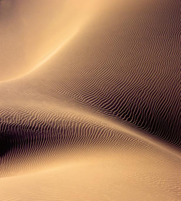 Die sanften, gewellten Formen einer Sanddüne im warmen Licht.