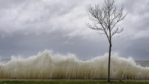 Eine hohe Welle bricht vor einem kahlen Baum unter einem grauen Himmel.