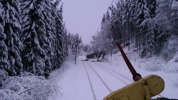 Eine verschneite Eisenbahnstrecke führt durch einen Winterwald.