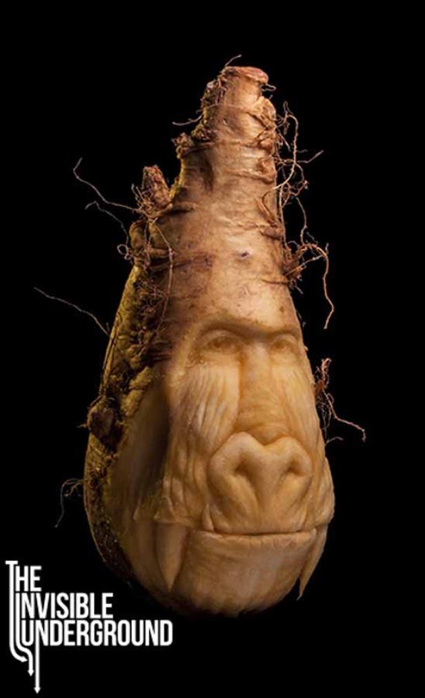 Eine Rübe mit dem Gesicht eines Gorillas, im Stil einer Skulptur geschnitzt.