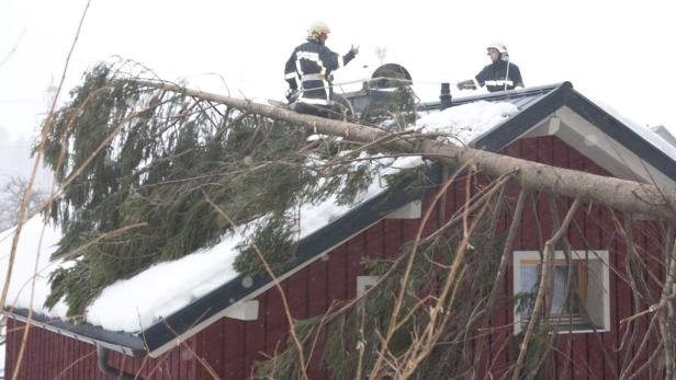 Zwei Feuerwehrleute auf einem schneebedeckten Dach, auf dem ein Baum liegt.