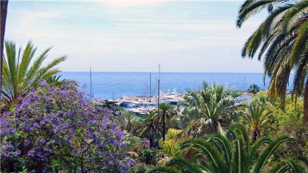 Blick durch Palmen und blühende Bäume auf einen Yachthafen am Meer.