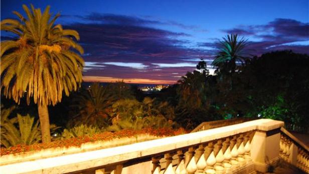 Palmen und tropische Vegetation unter einem farbenprächtigen Abendhimmel.