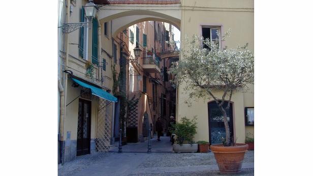 Eine Gasse in einer italienischen Stadt mit einem Olivenbaum im Vordergrund.