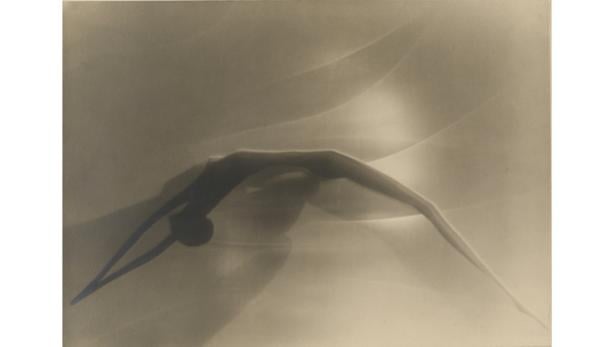 Eine Röntgenaufnahme eines Vogels im Flug.