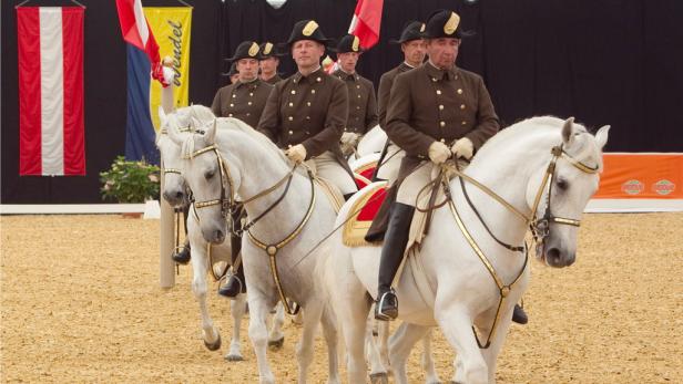 Eine Gruppe von Reitern in Uniform auf weißen Pferden bei einer Vorführung.