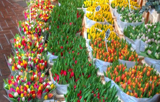 Verschiedenfarbige Tulpen stehen auf einem Markt zum Verkauf.