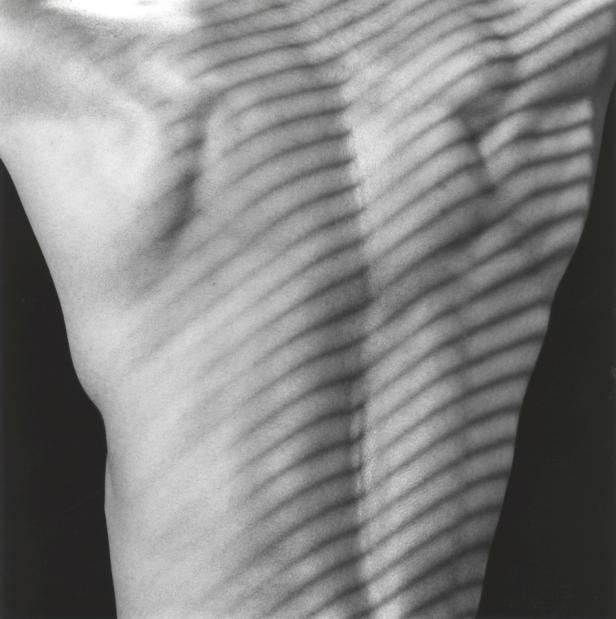 Das Licht einer Jalousie fällt auf den Rücken einer Person.